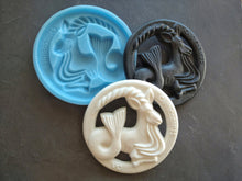 Load image into Gallery viewer, Capricorn zodiac sign medallion. Silicone Mold, astrology sign, Capricorn gifts. astrology symbol mold.