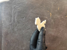Load image into Gallery viewer, Running Horse Applique: Miniature Furniture Overlay (6.4 cm)
