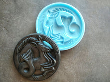 Load image into Gallery viewer, Capricorn zodiac sign medallion.  Silicone Mold, astrology sign, Capricorn gifts. astrology symbol mold.
